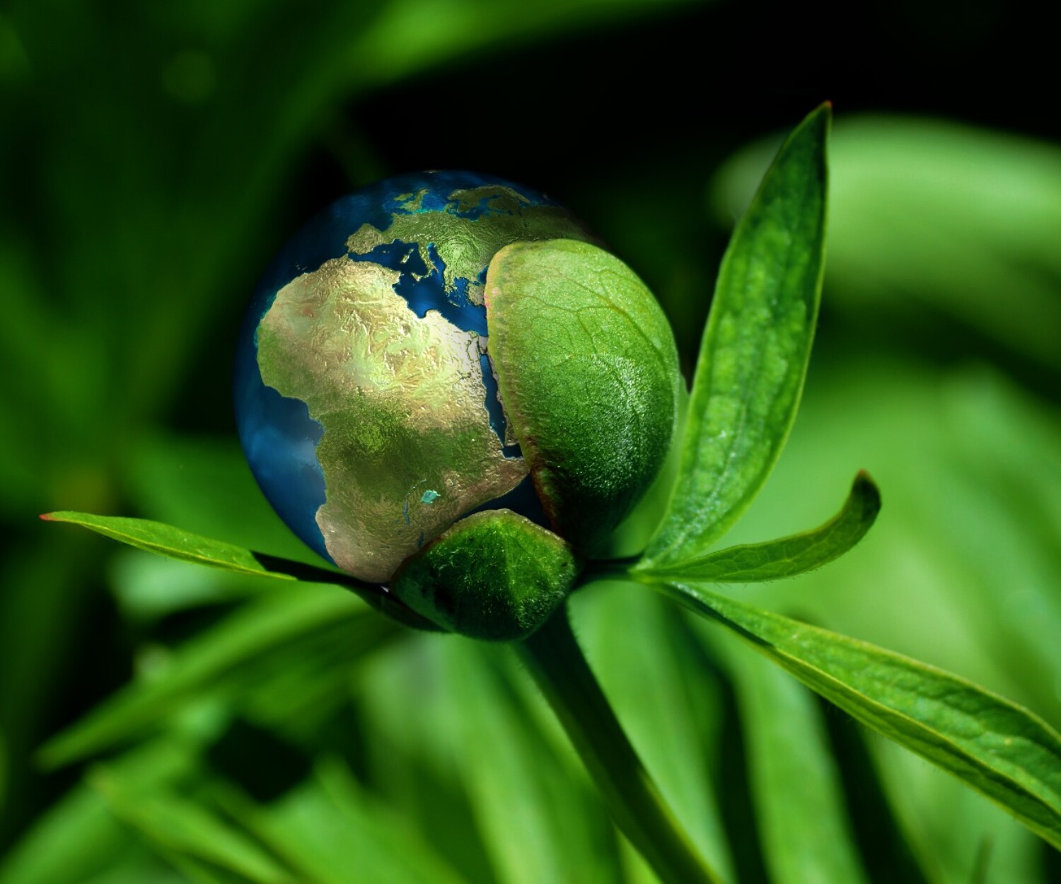 LCA-EPD-PCR: Gli strumenti per la sostenibilità ambientale